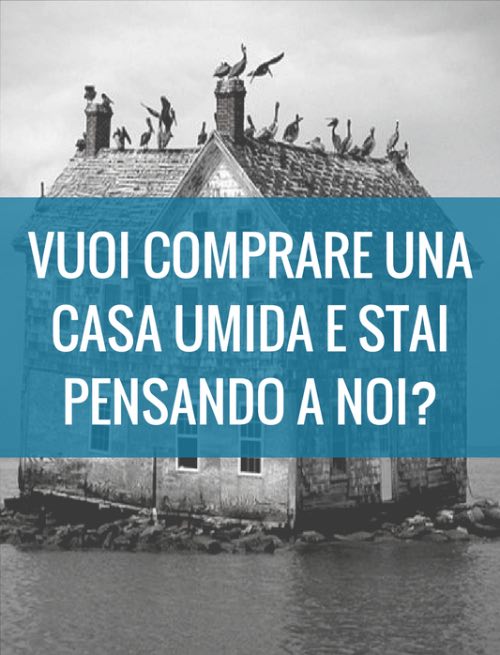 ho-comprato-una-casa-umida