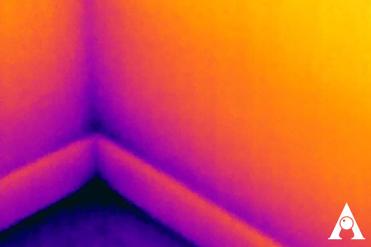 termografia-muro-umidità Analisi termografica muro