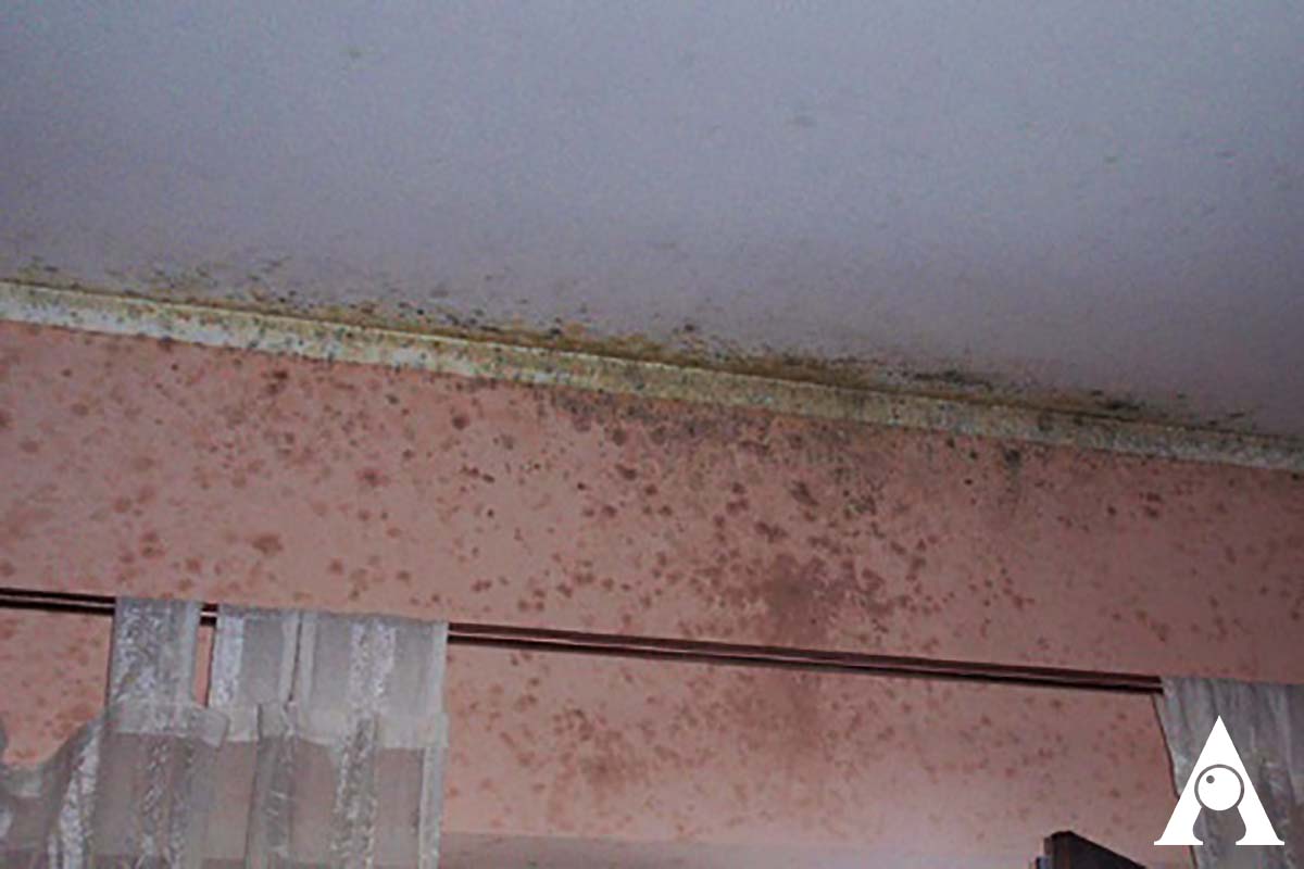 termografia-umidità Come utilizzare la termografia per umidità e muffa