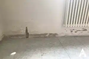 sopralluogo umidità