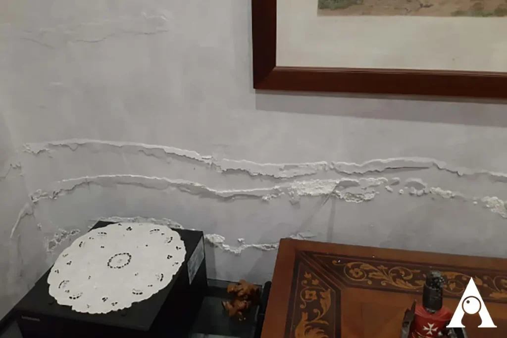 efflorescenze saline muri