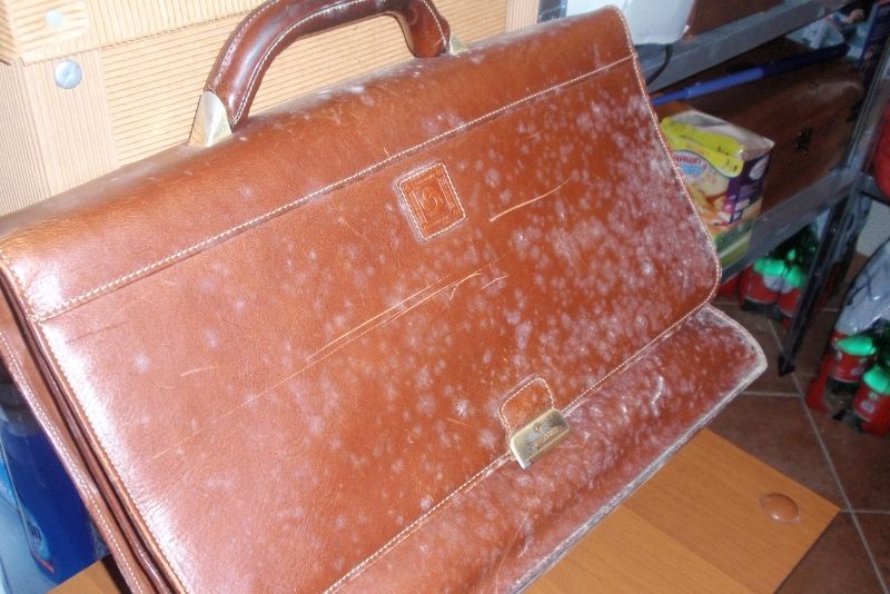 valigia sporca di muffa bianca