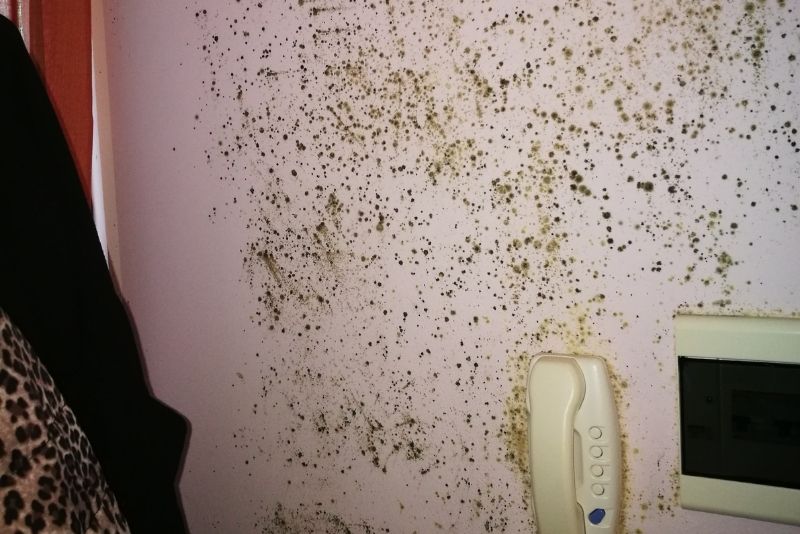 muro con muffa da condensa