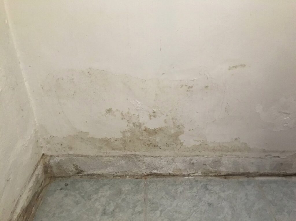 muro con problemi di umidità