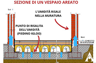 vespaio areato