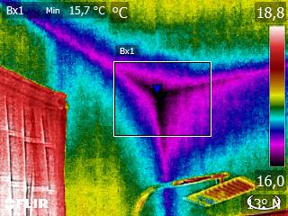 muffa analisi termografica