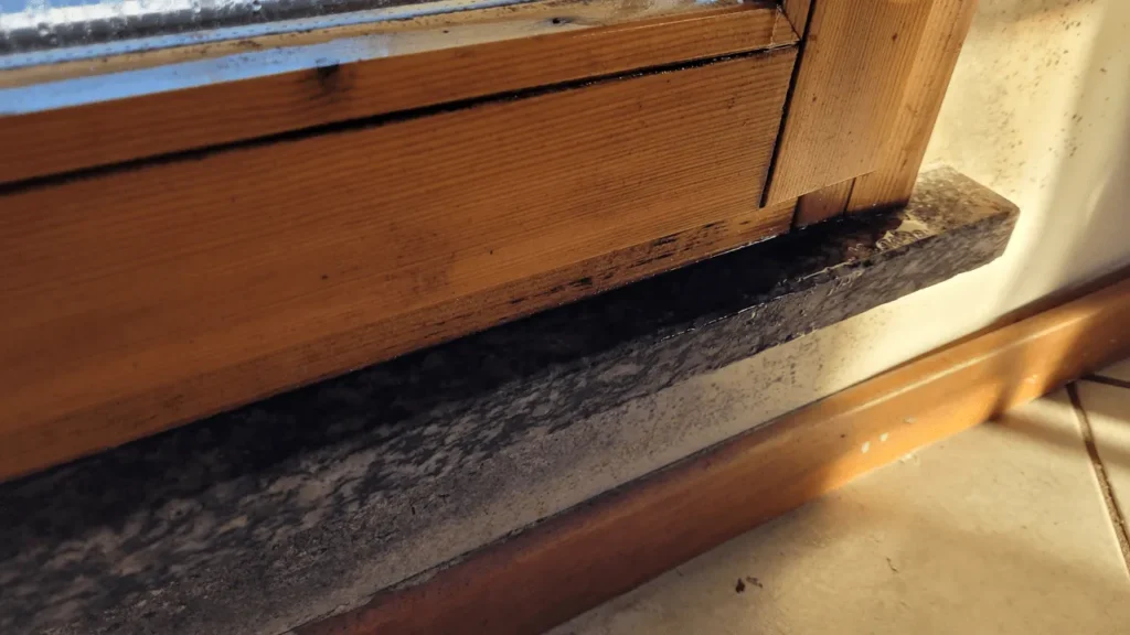 come evitare la formazione di muffa