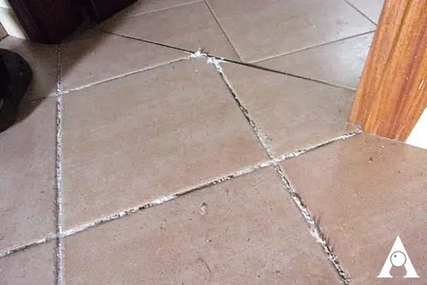 Fughe pavimento con problemi di fuoriuscita di umidità 