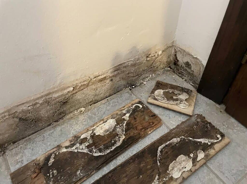 umidità di risalita chi chiamare