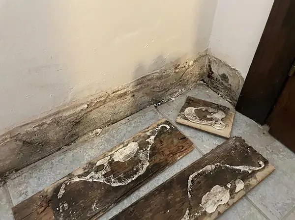 umidità di risalita chi chiamare