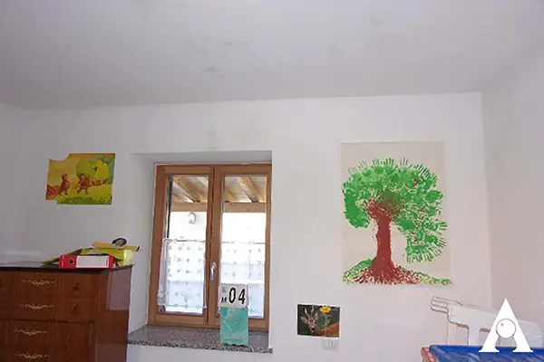 muffa sui muri danni alla salute