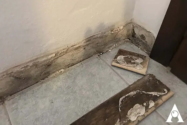 infiltrazione laterale interrata umidità
